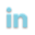 linkedin icon