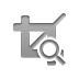 crop,zoom icon