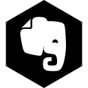 evernote, hexagon, media, social svg vector icon