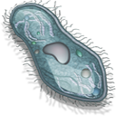 cell icon