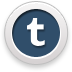 tumblr icon