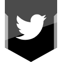 logo, social, twitter svg vector icon