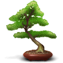 filelight icon
