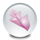 adobe,bridge icon