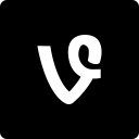 media, social, square, vine svg vector icon