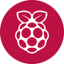 raspberry svg vector icon