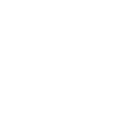 skeleton icon