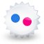 flickr icon