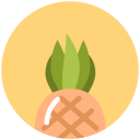 food, pineapple, summer, tropical, vacation svg vector icon