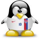 usa,penguin,animal icon