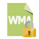 file,format,wma,lock icon