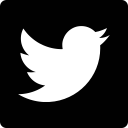 twitter svg vector icon