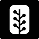 newsvine svg vector icon