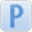 ping icon