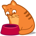 cat, hungry icon