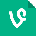 vine icon