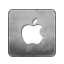apple icon