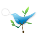 twitter icon