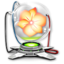 adobe,illustrator icon