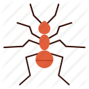 ant, bug, insect, pest icon