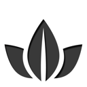 25 icon