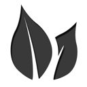 74 icon