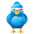 3d, bird, cinema, logo, movie, social, social media, tweet, twitter, video icon