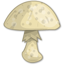 computer icon