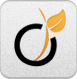 viadeo icon