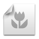 clipping,picture,photo,pic,image icon
