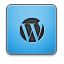 blue icon