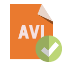 file,format,avi,checkmark icon