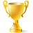 award icon