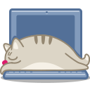 cat, laptop icon