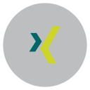 xing svg vector icon