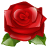 flower, lilly flower, nature, plant, red, rose icon