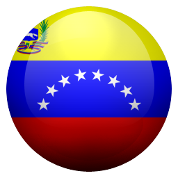 ve icon