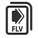 flv icon