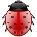 animal, bug, insect, ladybird icon