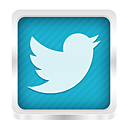 twitter icon