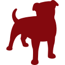 marketing, media, social, website, zynga svg vector icon