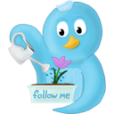 flower, follow, me, spring icon