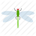 dragonfly, fly, insect icon