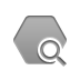 polygon,zoom icon