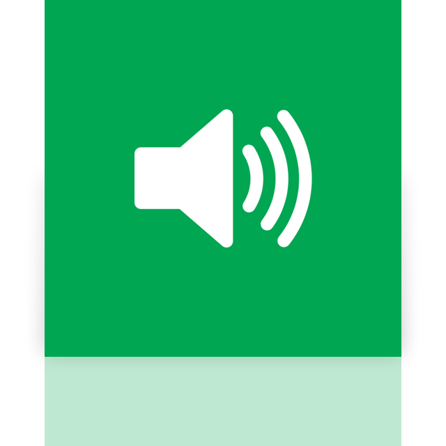 volume,mirror icon
