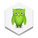 duolingo icon