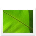 gif,file,paper,document icon