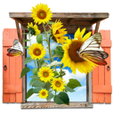 flowers, sunflowers, window icon