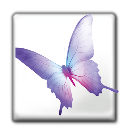 adobe,cs icon