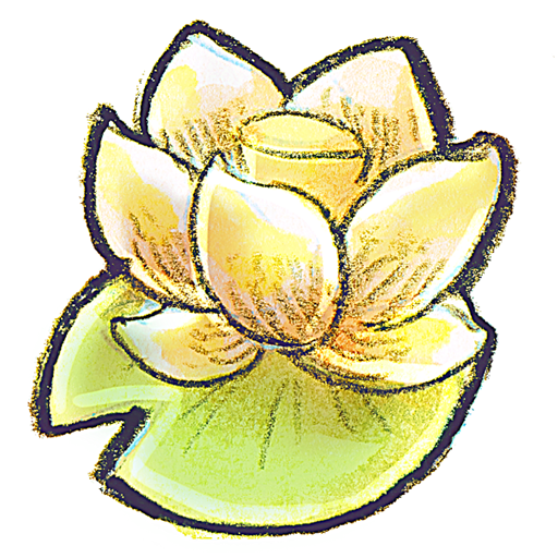 flower, lotus icon